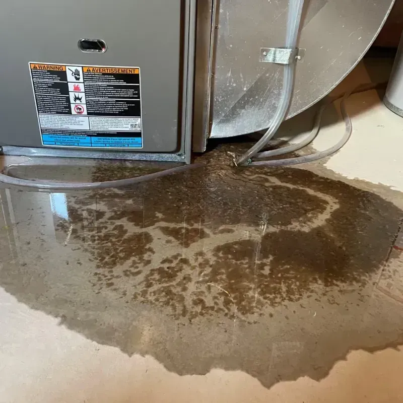 Appliance Leak Cleanup in Holley, FL